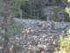 dscn9190small_small.jpg