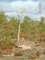 dscn9194small_small.jpg