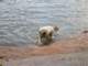 dscn9200small_small.jpg