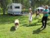 img_4952_small.jpg