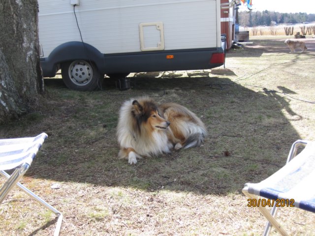 img_7969.jpg