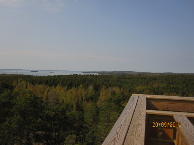 img_8146.jpg