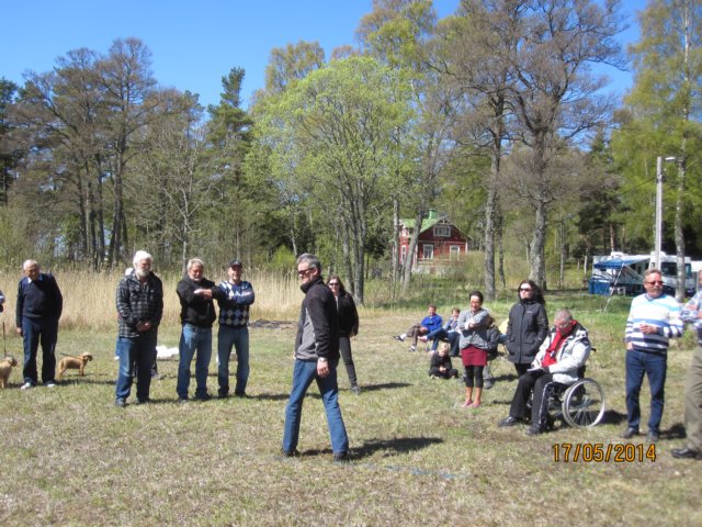 img_3113.jpg