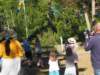 thumbnail_p6240684_small.jpg
