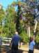 thumbnail_p6240688_small.jpg