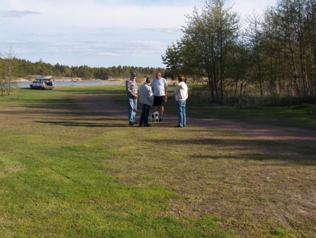 ole20005.jpg