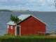 dscn8995small_small.jpg