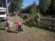 div007small_small.jpg
