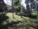 div016small_small.jpg